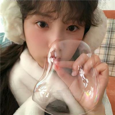 当哈维遇见鲍勃